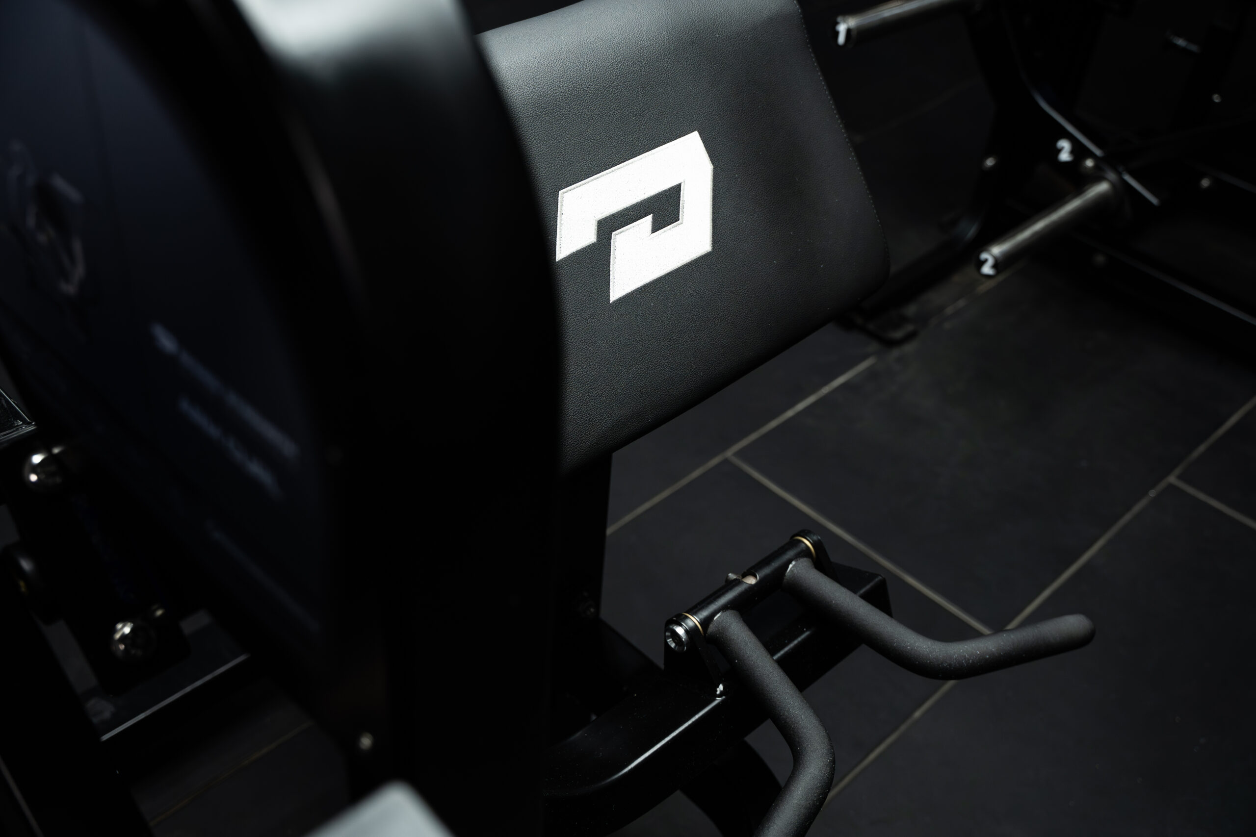 Defined Strength Arm Curl-1