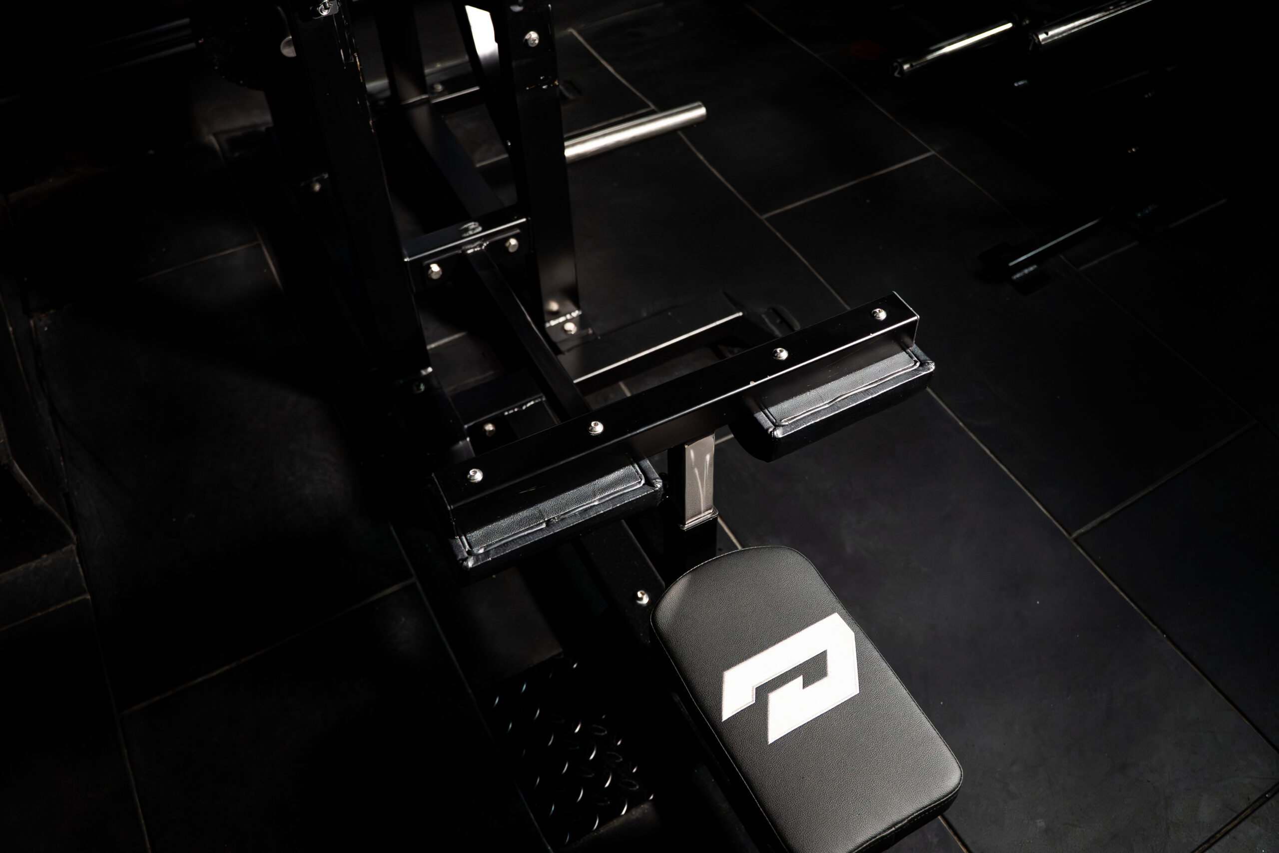 Defined Strength Lat Pull Down-2