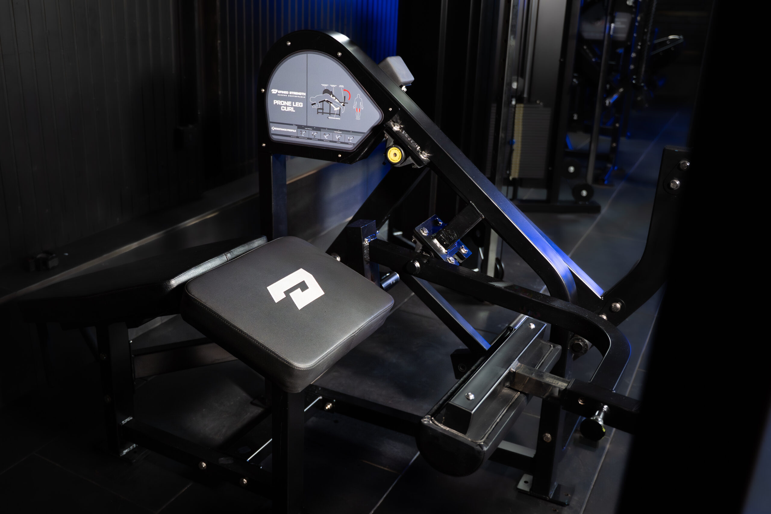 Defined Strength Leg Curl-1