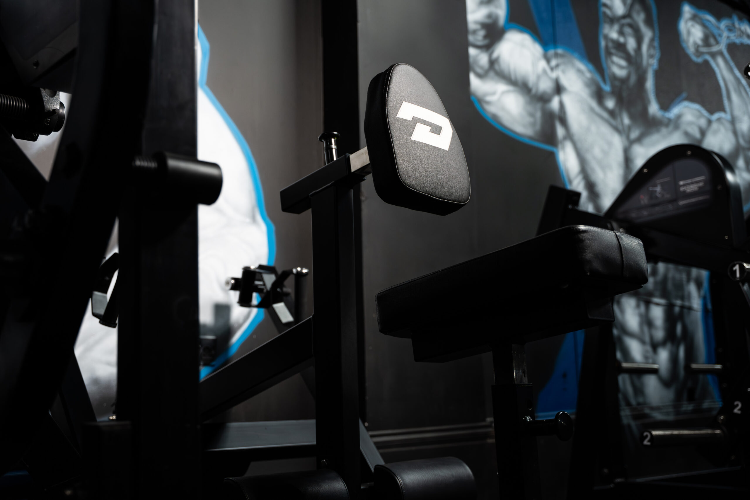 Defined Strength Seated Row-2