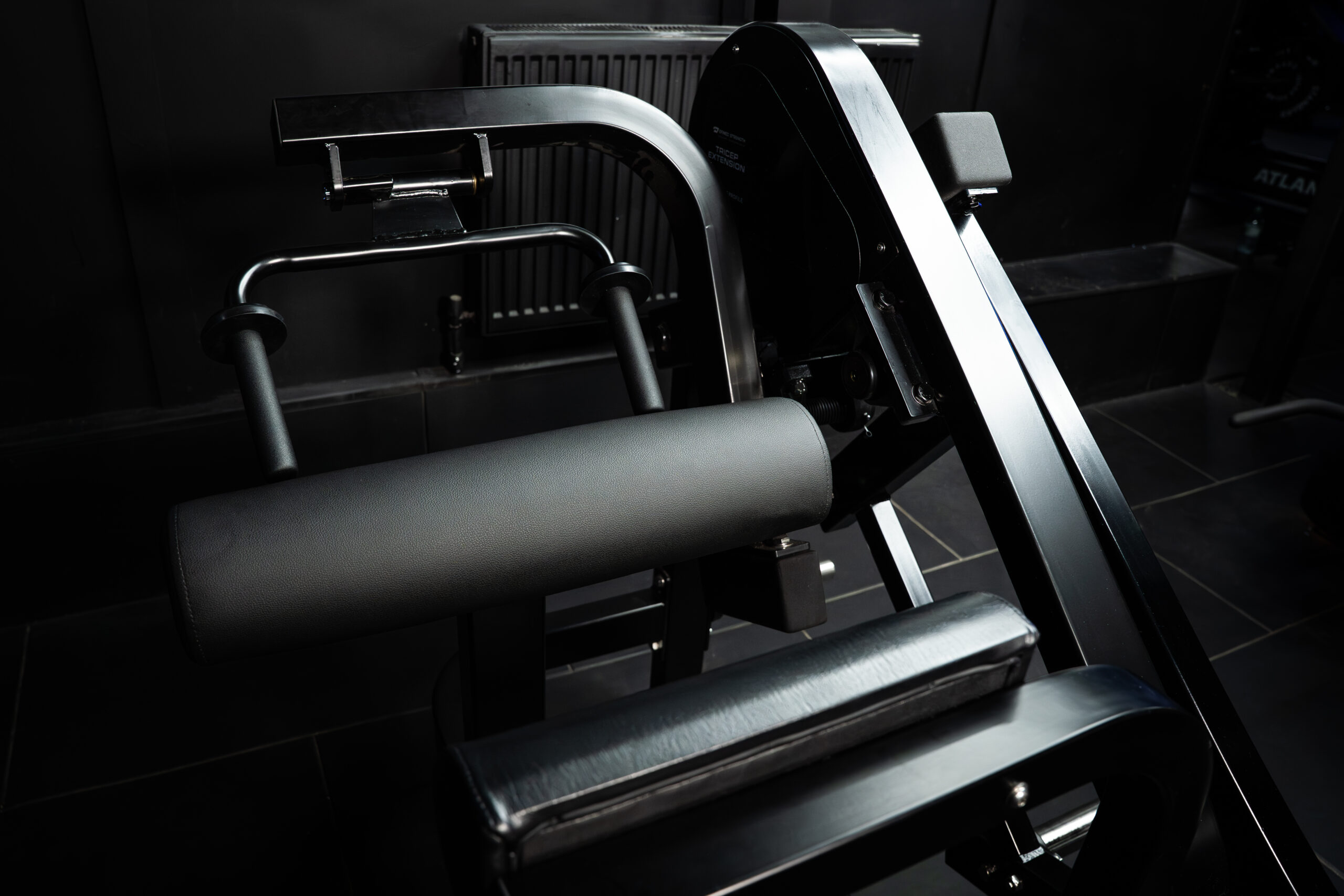 Defined Strength Tricep Extension-2