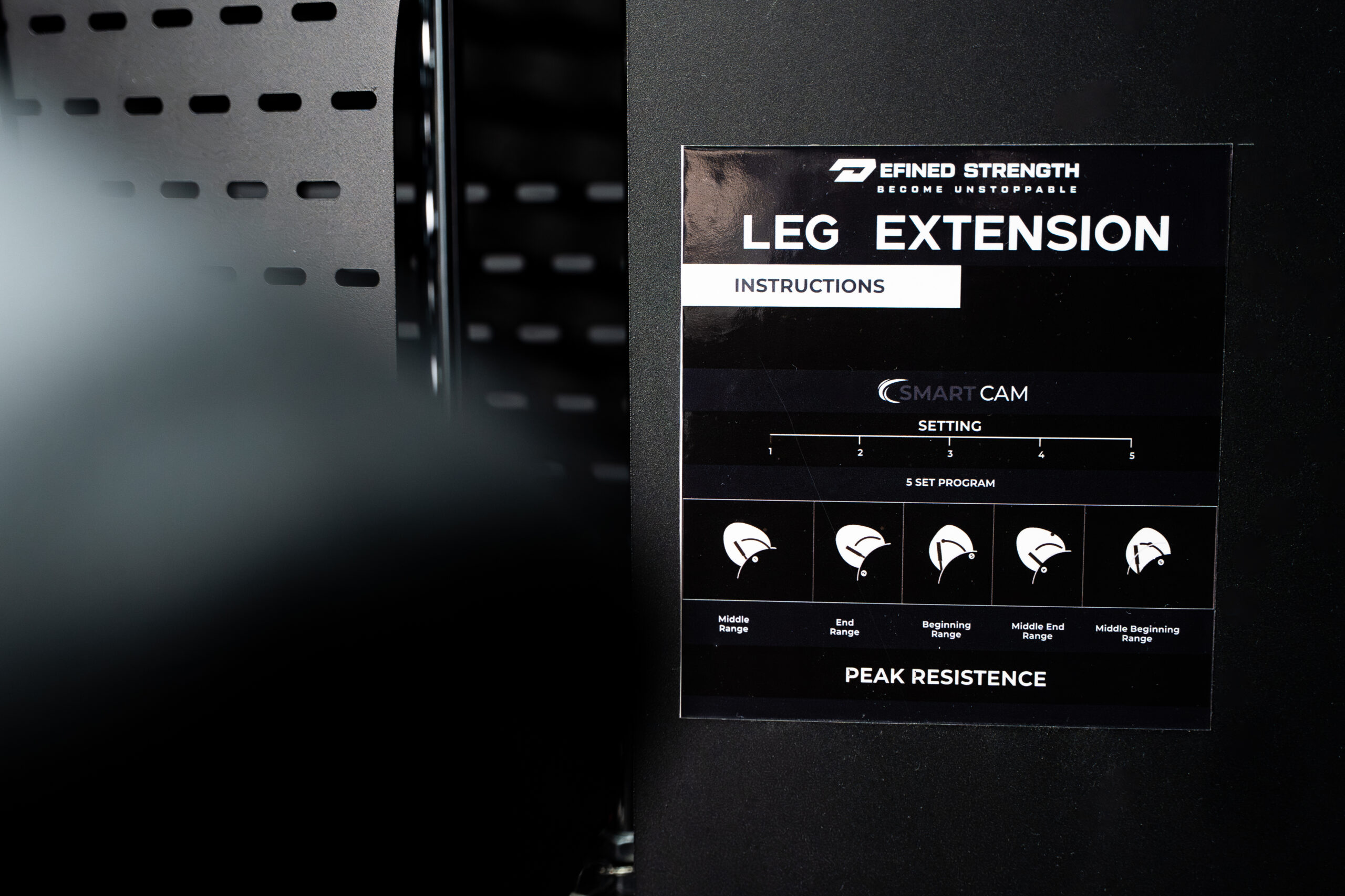 Leg Extension-2