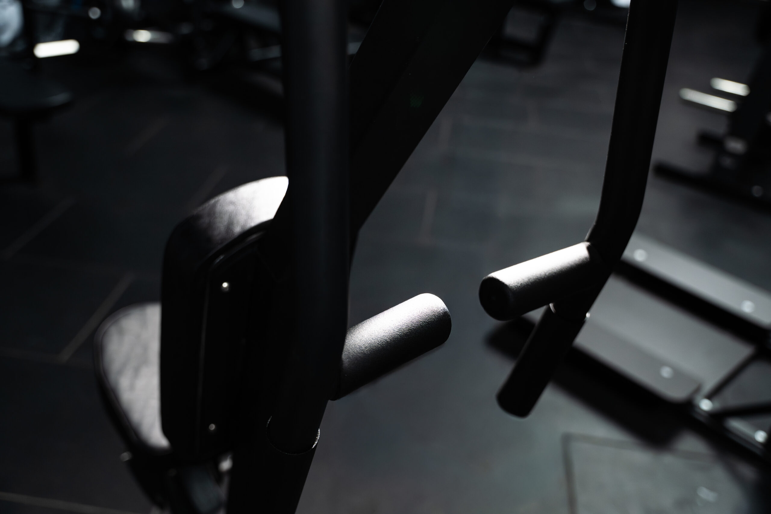Pec_Rear Fly-2