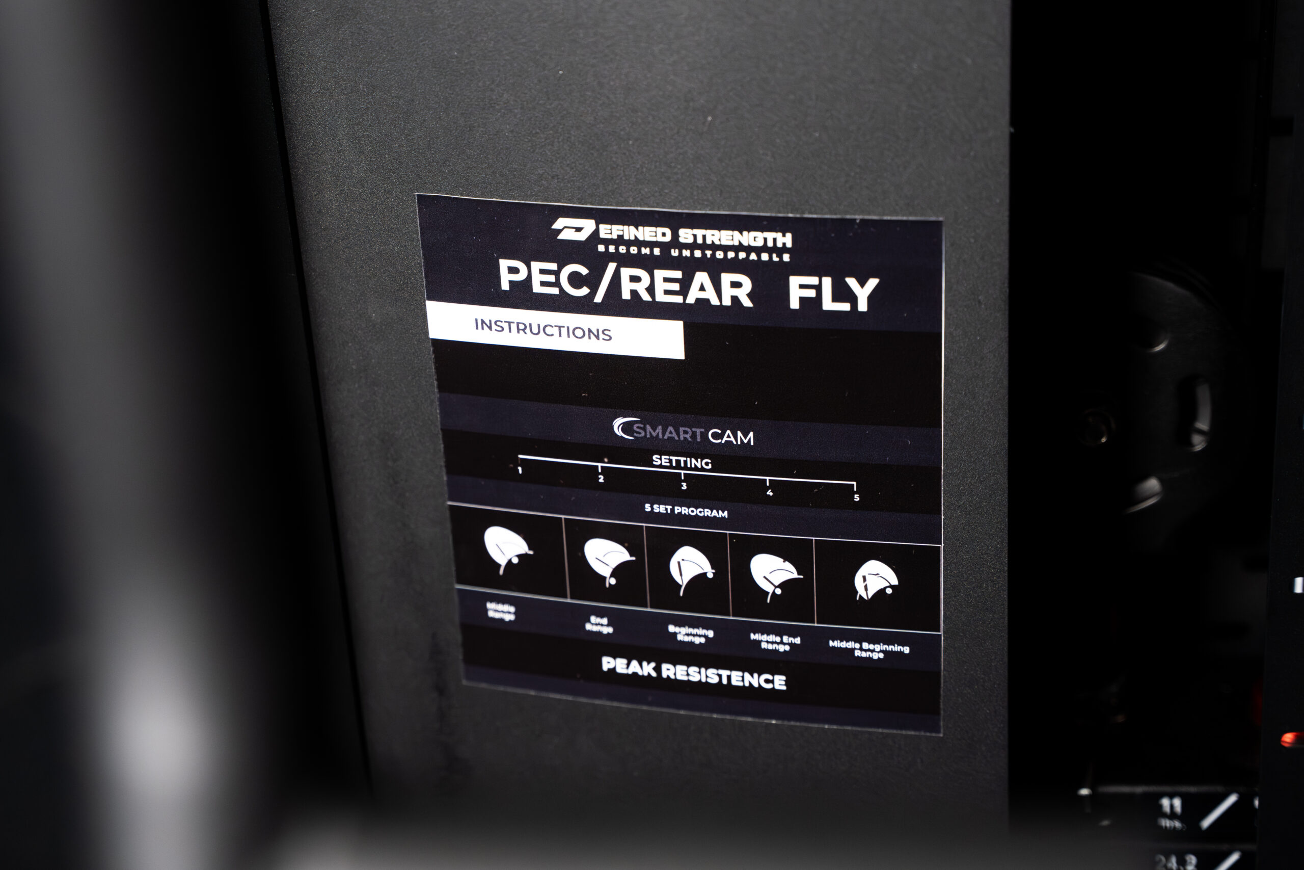 Pec_Rear Fly-4
